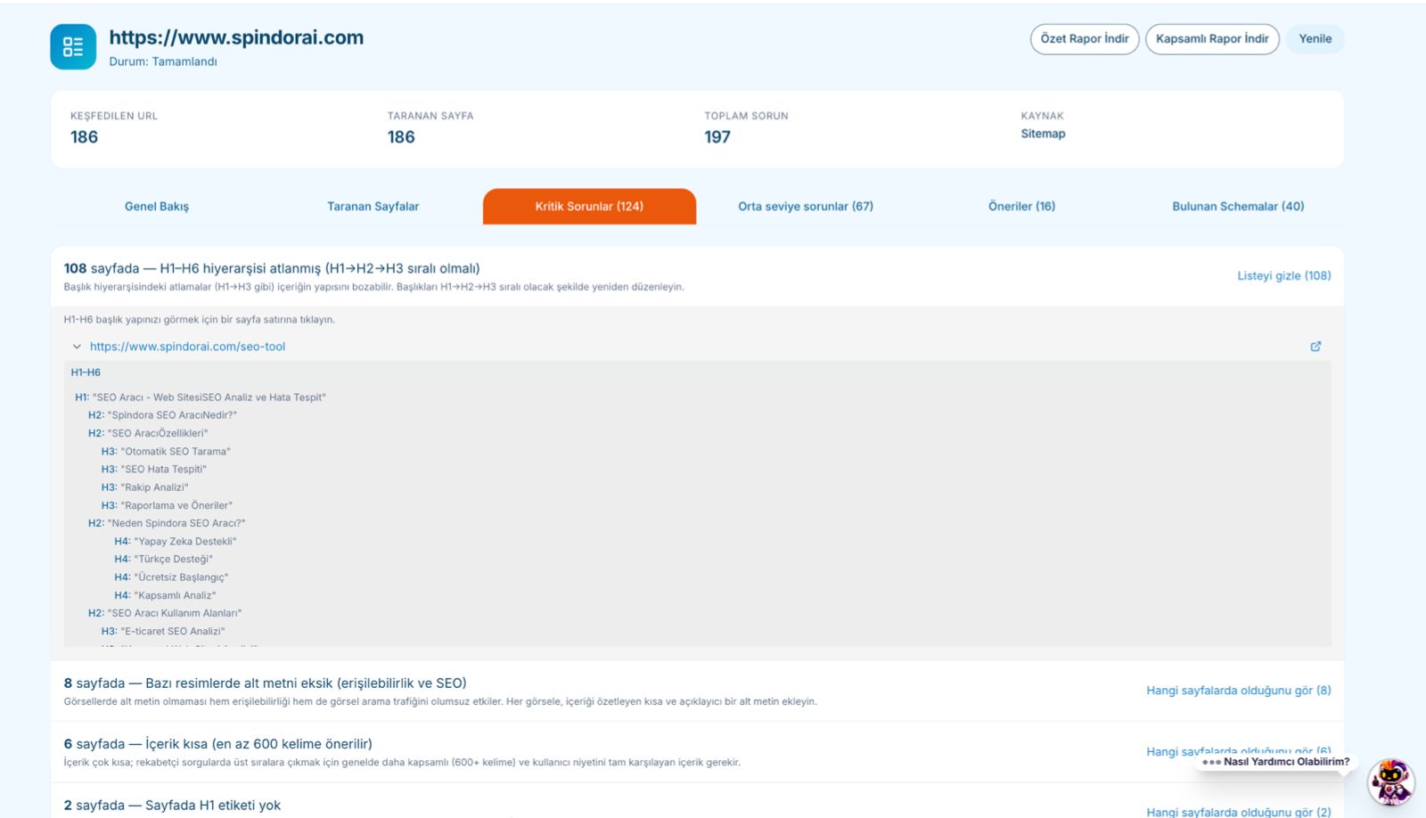 SEO tam site denetimi paneli